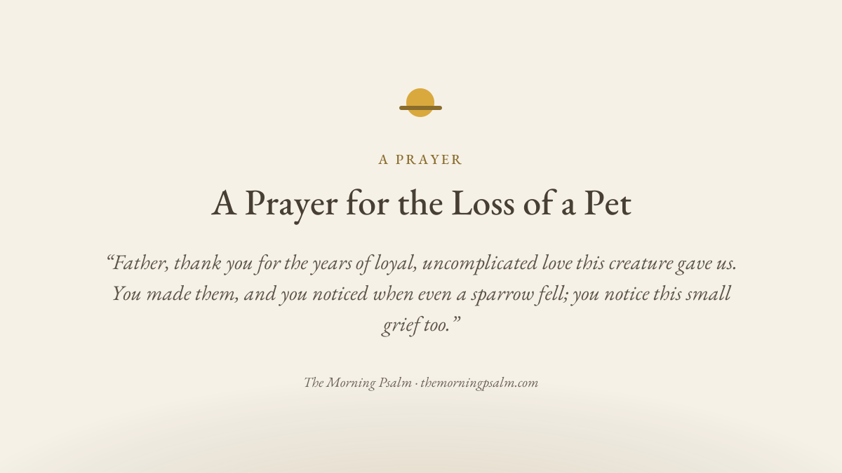 A Prayer for the Loss of a Pet — prayer card